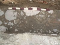 Chronicle of the Archaeological Excavations in Romania, 2009 Campaign. Report no. 27, Hârşova, La Cetate<br /><a href='http://foto.cimec.ro/cronica/2009/sistematice\027/28-HARSOVA-S-III-Detaliu-pe-pavajul-din-spatele-portii.jpg' target=_blank>Display the same picture in a new window</a>
